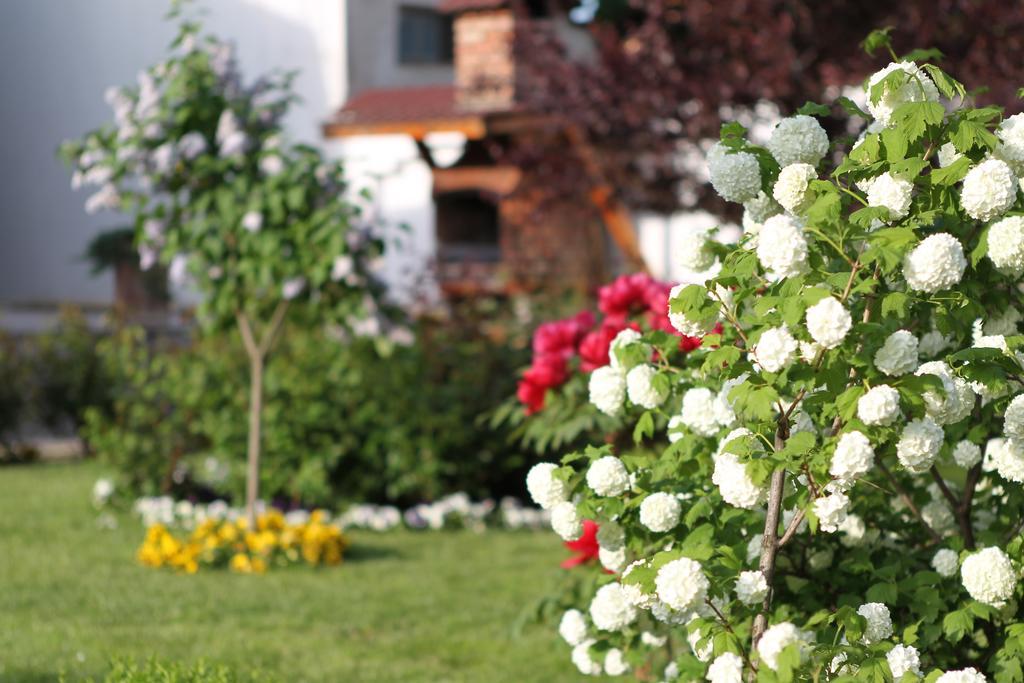 Casa Jasmine Hotel Брашов Екстериор снимка